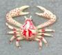 crab1's Avatar